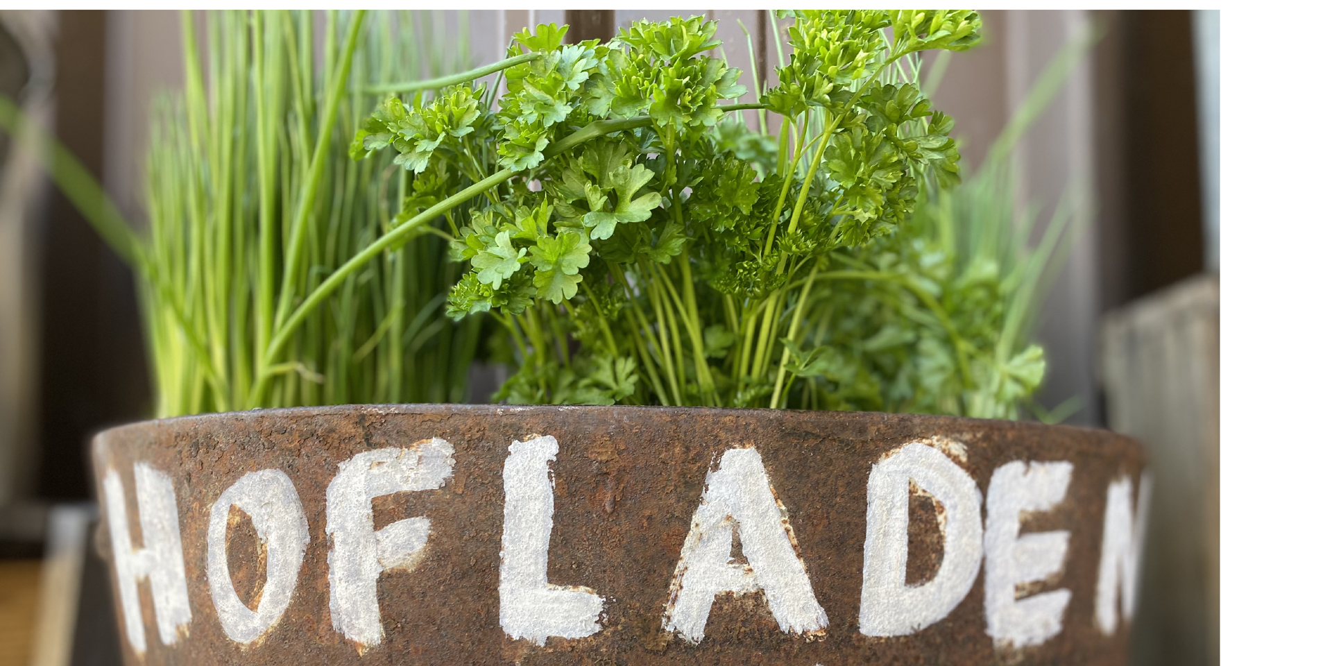 Gesundes Wintergemüse