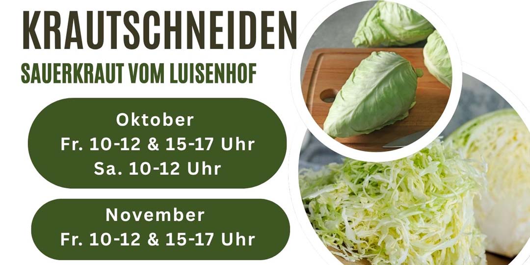 Gesundes Wintergemüse